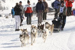 Lenk 2012 SM